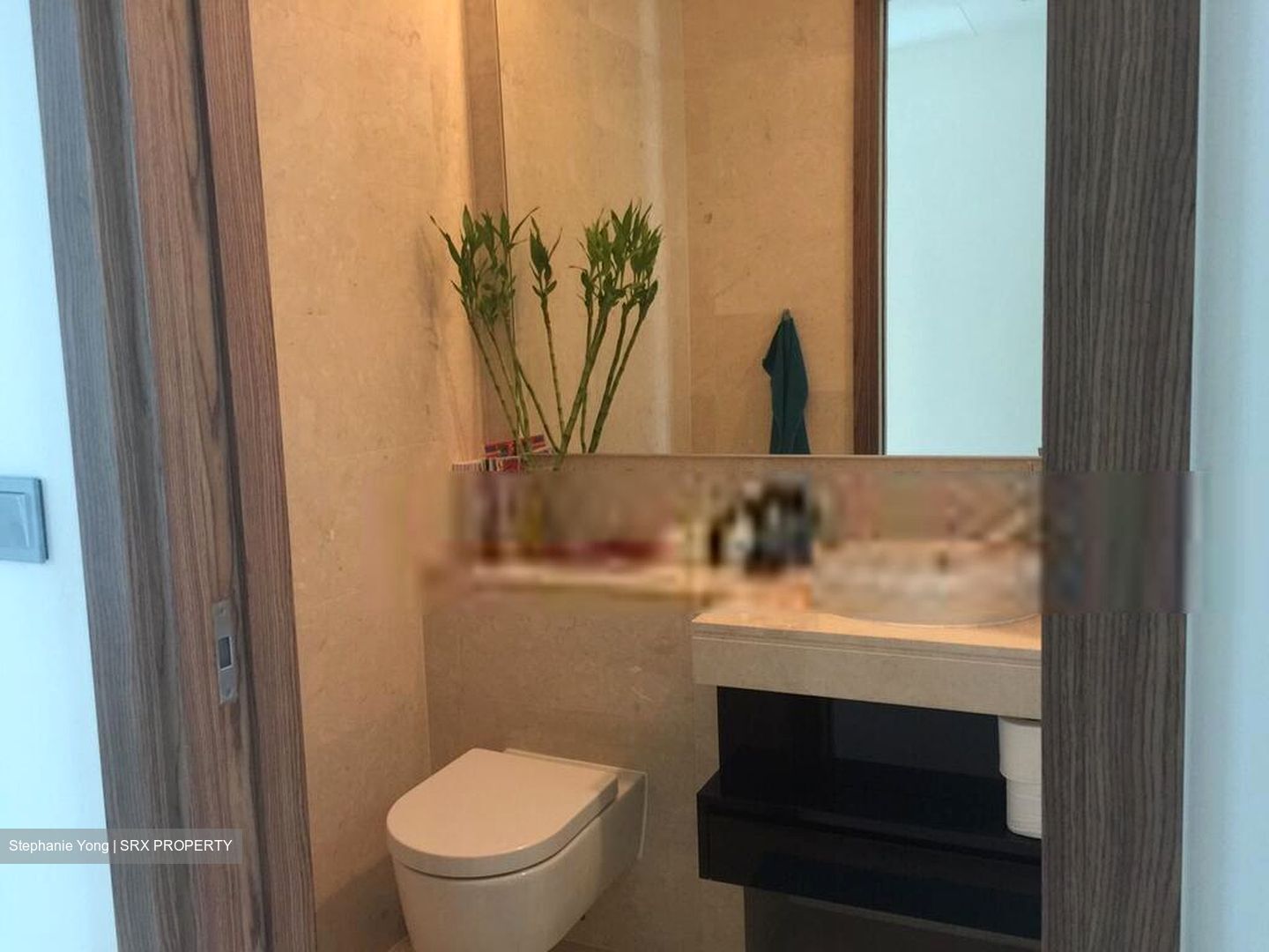 Volari (D10), Condominium #415350321